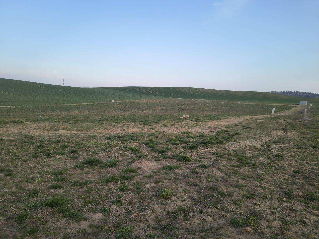 Działka budowlana Lubiszewo Tczewskie. Zdjęcie 13