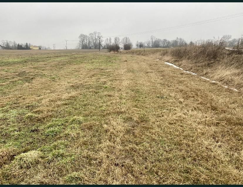 Działka rekreacyjna Gołębie. Zdjęcie 2