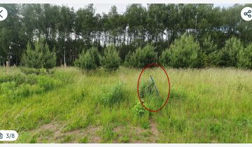 Działka budowlana Siedlec, ul. Przylesie