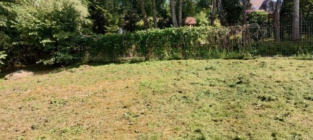 Działka rolno-budowlana Krzęcin. Zdjęcie 1