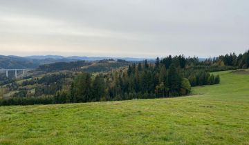 Działka inwestycyjna Jaworzynka Łupienie