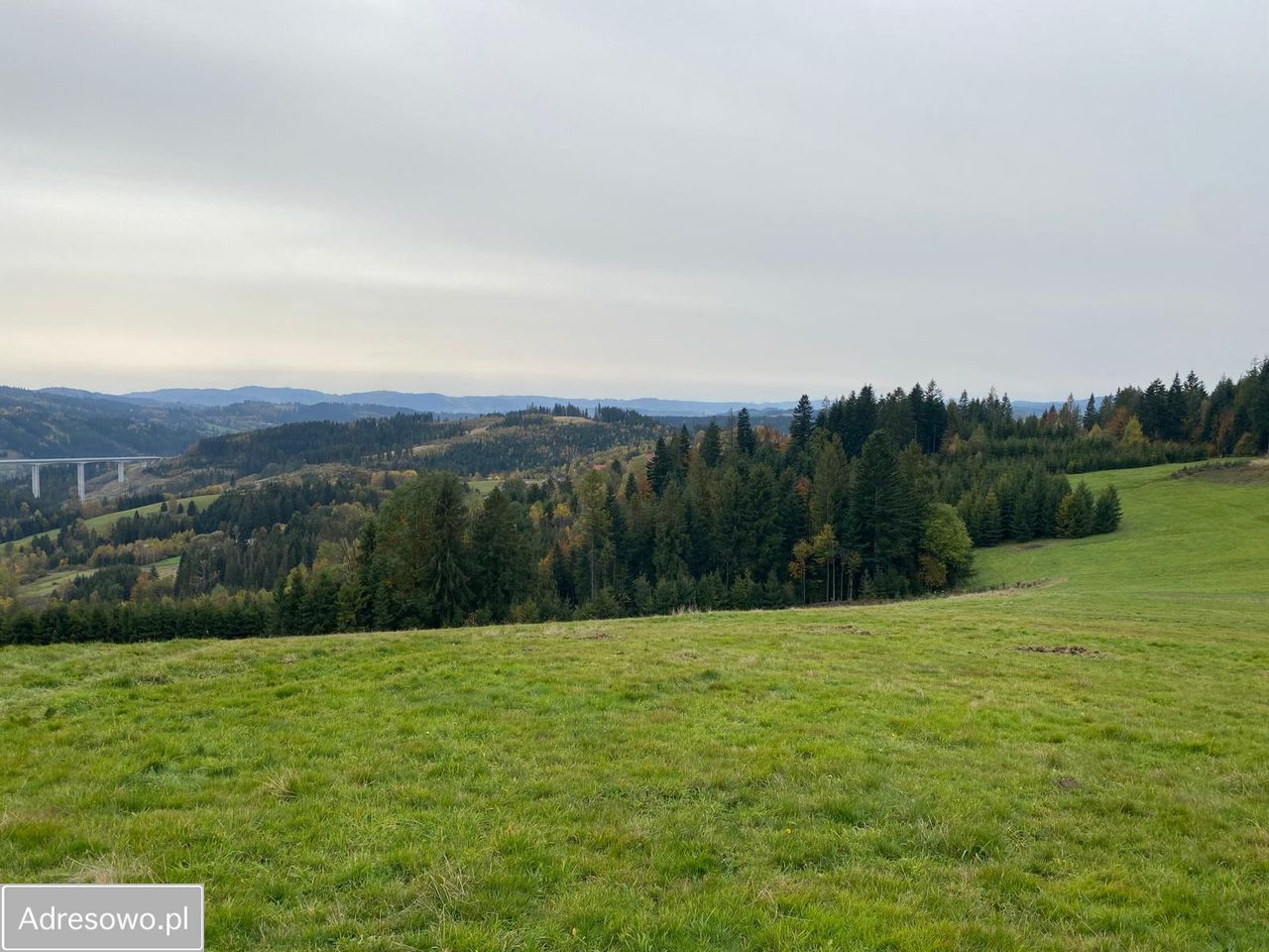 Działka inwestycyjna Jaworzynka Łupienie. Zdjęcie 2