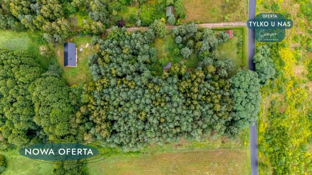 Działka inwestycyjna Chociszew. Zdjęcie 8