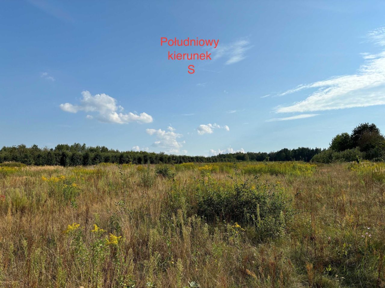Działka rolno-budowlana Żelazna. Zdjęcie 5