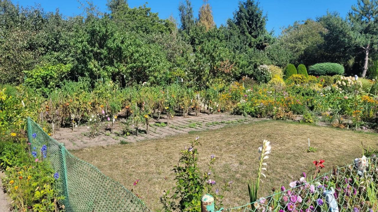 Działka rod Wrocław Psie Pole, ul. Poświęcka. Zdjęcie 2