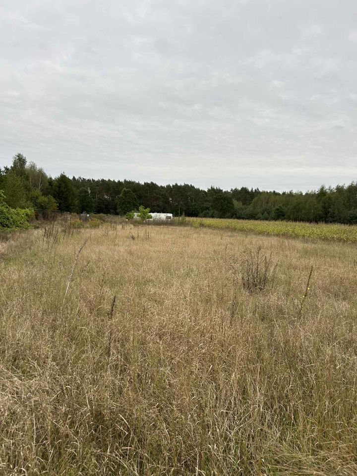 Działka budowlana Zofibór. Zdjęcie 2