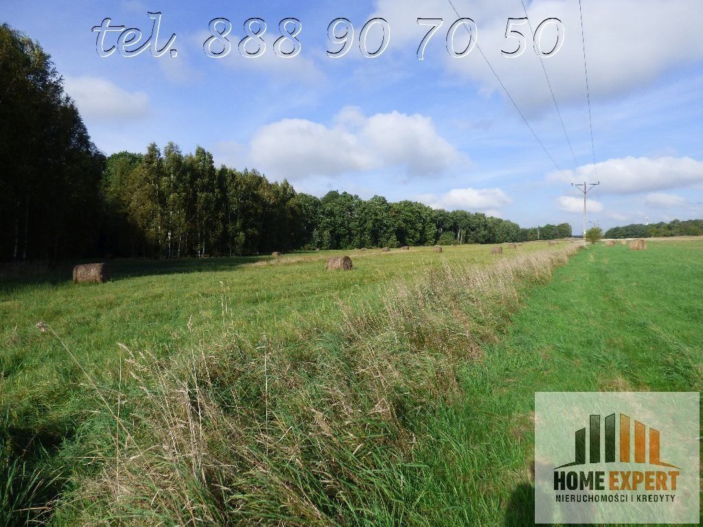 Działka Trójca. Zdjęcie 4