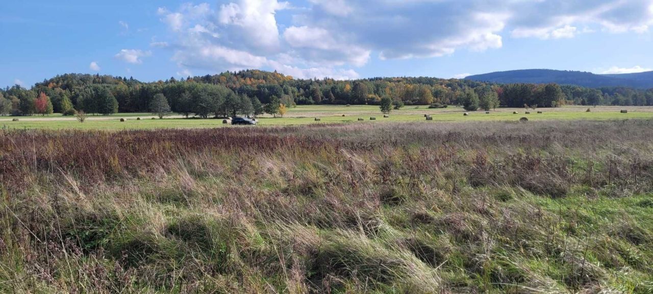 Działka budowlana Rębiszów. Zdjęcie 2