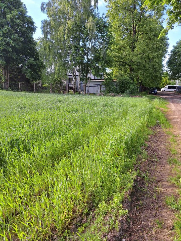 Działka rolno-budowlana Sierzchowy. Zdjęcie 5