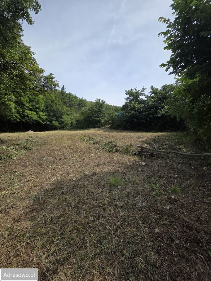 Działka inwestycyjna Kraków Tyniec, ul. Juranda ze Spychowa. Zdjęcie 4