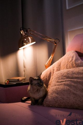 Mieszkanie 3-pokojowe Wrocław, ul. Długa. Zdjęcie 7