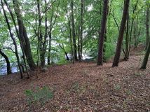 Działka siedliskowa Borzestowska Huta. Zdjęcie 4