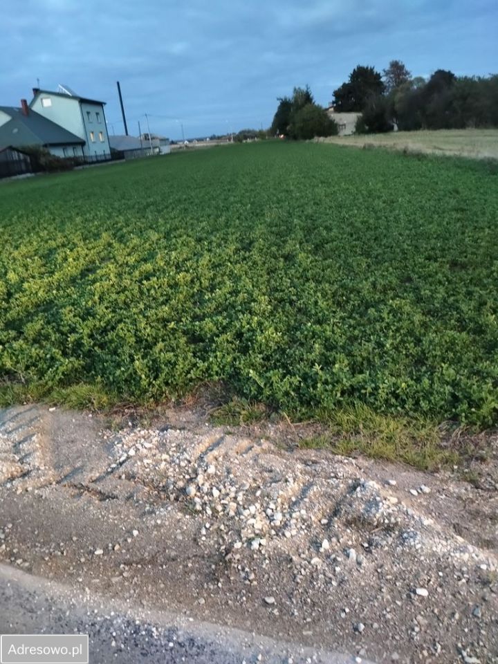 Działka inwestycyjna Pułtusk. Zdjęcie 6