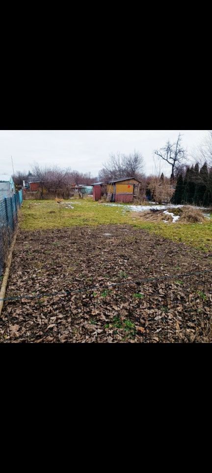 Działka rod Ostrowiec Świętokrzyski, ul. Stefana Żeromskiego. Zdjęcie 3