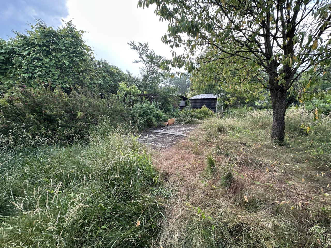 Działka rod Tarnów Mościce, ul. Azotowa. Zdjęcie 3
