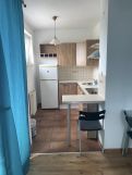 Mieszkanie 1-pokojowe Poznań Winogrady, ul. Serbska. Zdjęcie 4