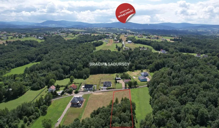 Działka leśna Siepraw, ul. Kalinowa