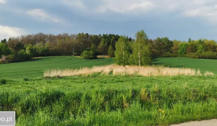 Działka rolna Podbucze