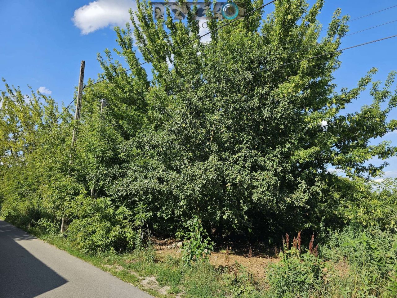 Działka budowlana Warszawa Zerzeń, ul. Borków. Zdjęcie 10