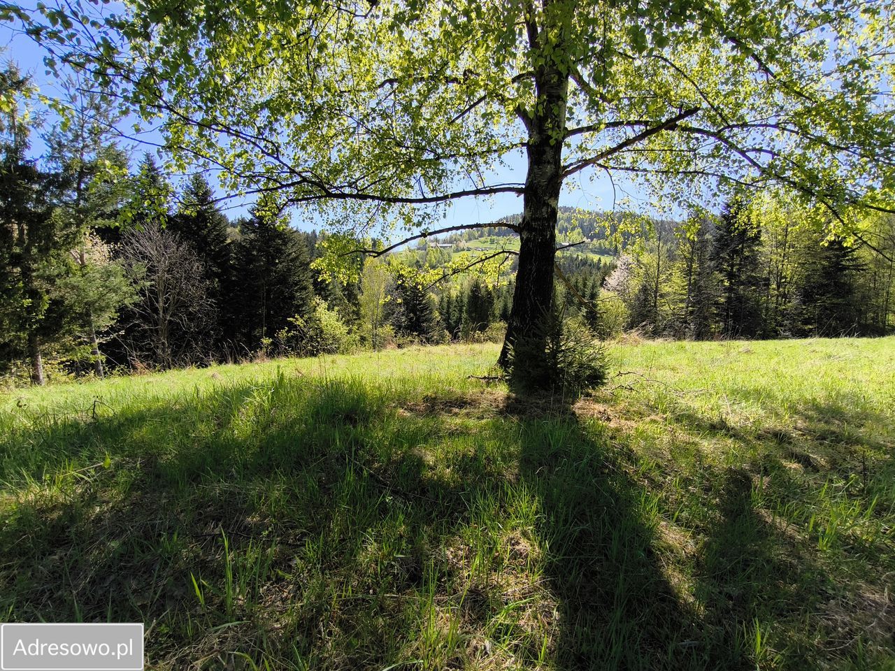 dom wolnostojący, 4 pokoje Krzyżówki. Zdjęcie 9