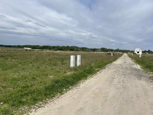 Działka budowlana Dąbie, ul. Dębowa. Zdjęcie 1