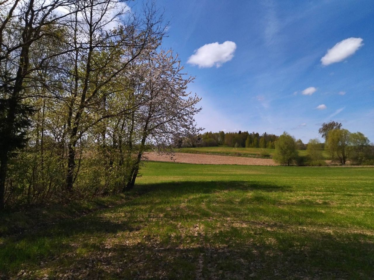 Działka budowlana Łączno. Zdjęcie 3