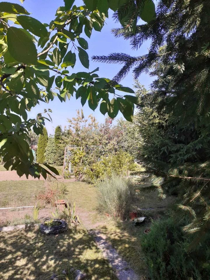 Działka rod Chodzież. Zdjęcie 5