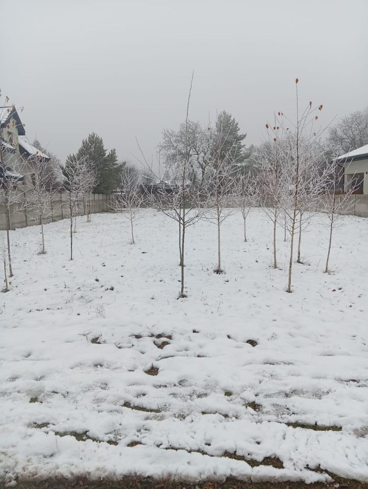 Działka budowlana Rędziny. Zdjęcie 2