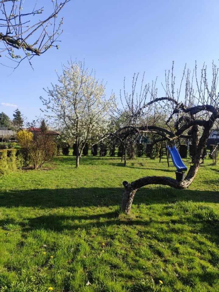 Działka rod Czechowice-Dziedzice. Zdjęcie 6