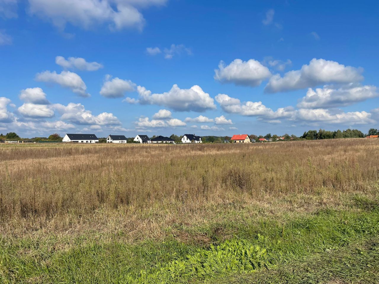 Działka budowlana Wojcieszyce. Zdjęcie 3