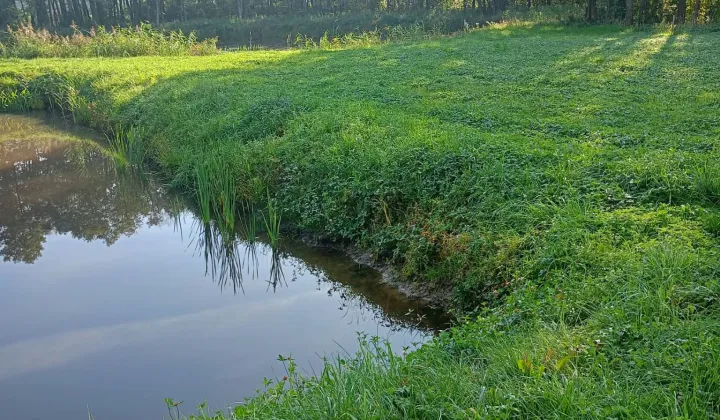 Działka budowlana Rumunki Tupadelskie