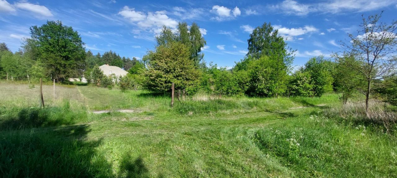 Działka rolno-budowlana Kołbiel. Zdjęcie 5