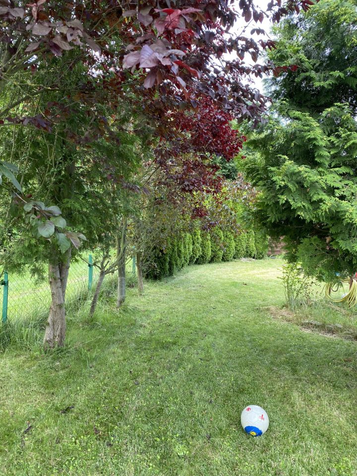 Działka rod Wągrowiec, ul. Nad Nielbą. Zdjęcie 9