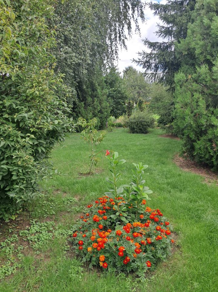 Działka Chełmża, ul. Owocowa. Zdjęcie 8