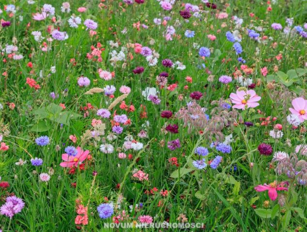 Działka budowlana Nakło Śląskie. Zdjęcie 1