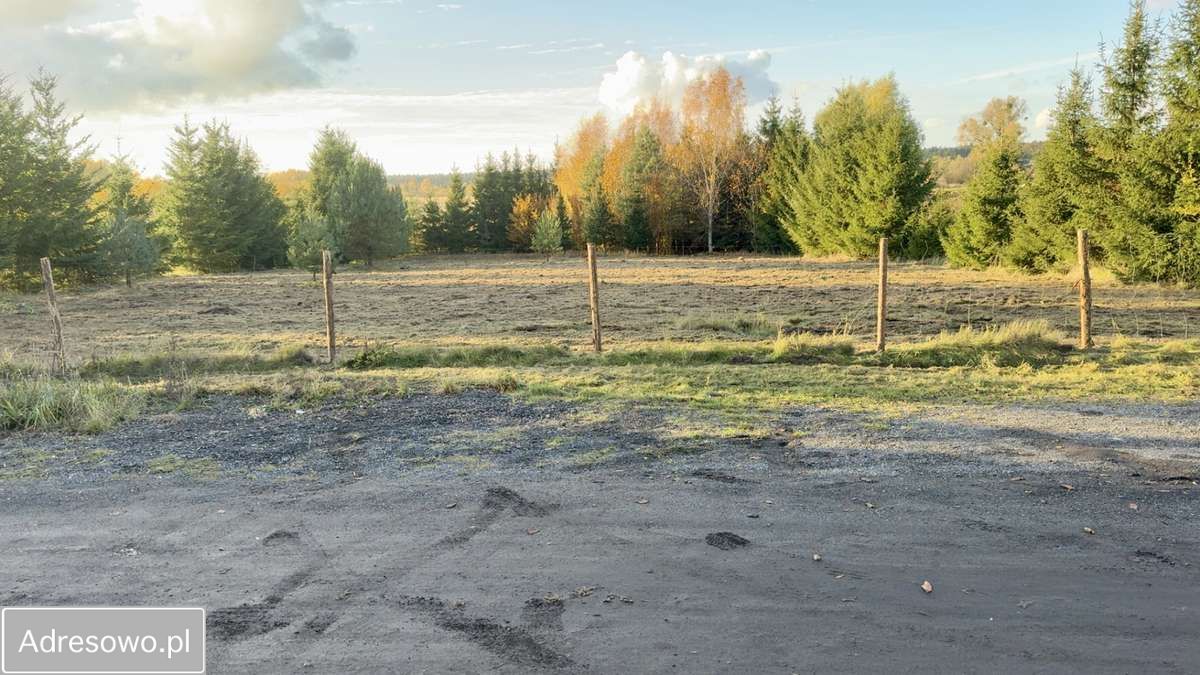 Działka budowlana Dołuje, ul. Daniela. Zdjęcie 8