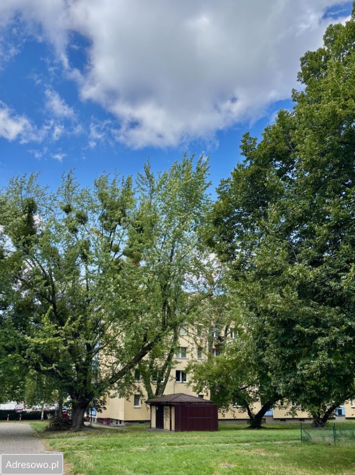 Mieszkanie 3-pokojowe Warszawa Mokotów, ul. Orzycka. Zdjęcie 11