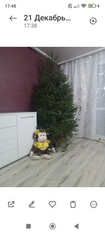 Mieszkanie 3-pokojowe Kamienny Dwór. Zdjęcie 4