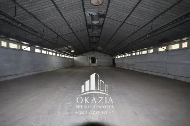 Hala/magazyn Wysoka Głogowska. Zdjęcie 6