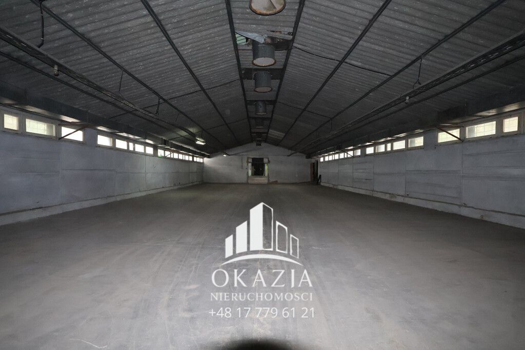 Hala/magazyn Wysoka Głogowska. Zdjęcie 6