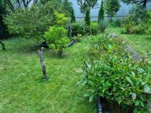 Działka rod Łódź Polesie, ul. Konstantynowska. Zdjęcie 3