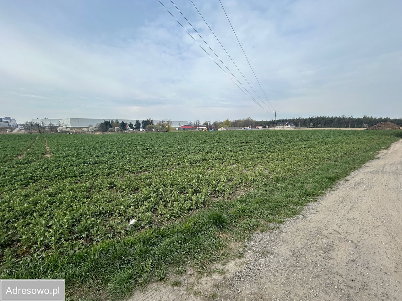 Działka inwestycyjna Robakowo. Zdjęcie 6