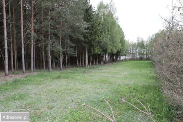 Działka budowlana Ławki. Zdjęcie 1