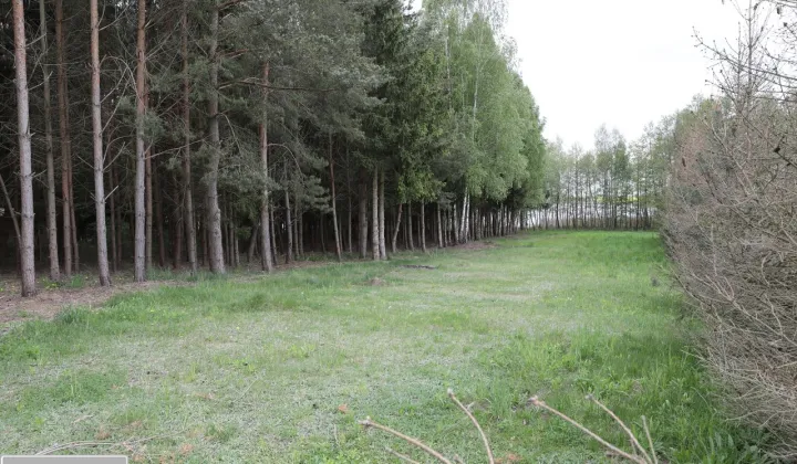 Działka budowlana Ławki