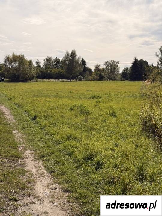 Działka rolno-budowlana Rytwiany. Zdjęcie 5