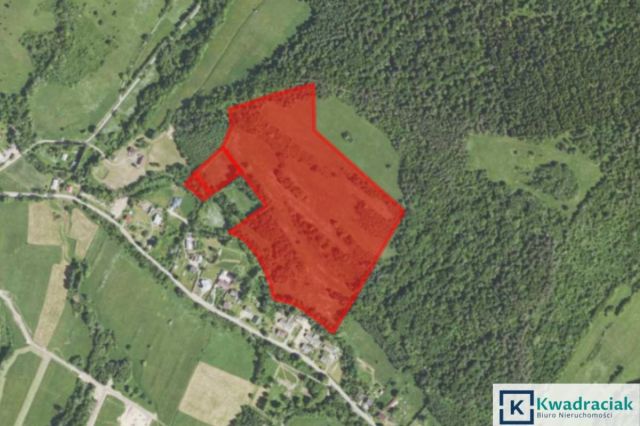 Działka rolna Stężnica. Zdjęcie 7