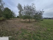 Działka budowlana Tuszyma. Zdjęcie 2