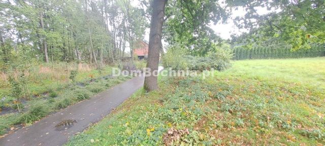 Działka Strumiany. Zdjęcie 4