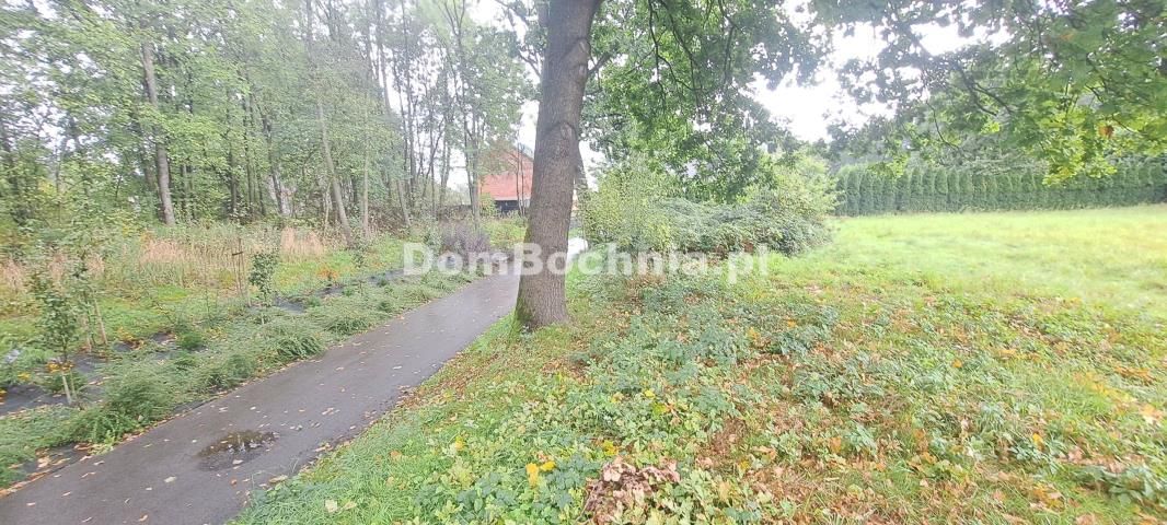 Działka Strumiany. Zdjęcie 4