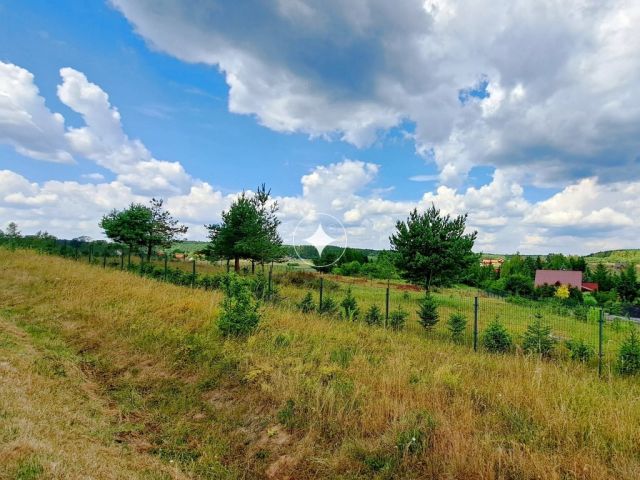 dom wolnostojący, 4 pokoje Kurki. Zdjęcie 13